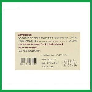 Nhà Thuốc Tiến Thành - Thuốc Amoxicillin 250mg Mekophar điều trị nhiễm khuẩn (10 vỉ x 10 viên) 1 Nhà Thuốc Tiến Thành - Amoxicillin 250mg Mekophar 2