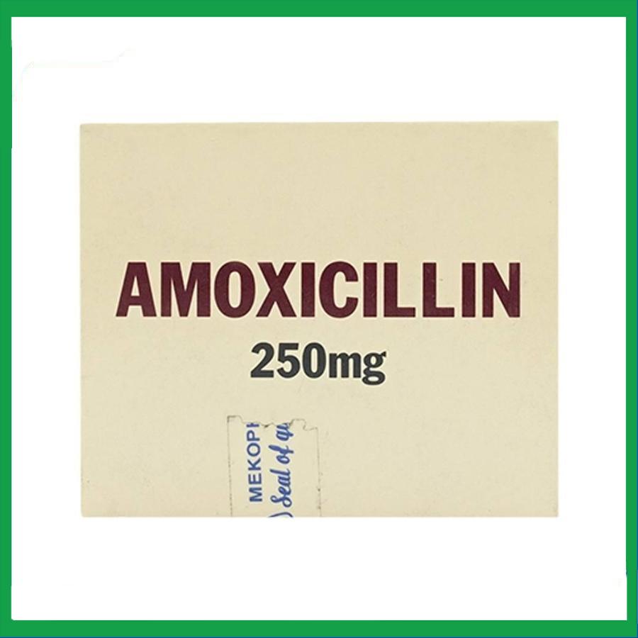 Amoxicillin-250mg-Mekophar-3-1.jpg Nhà Thuốc Tiến Thành - Amoxicillin 250mg Mekophar 3 1