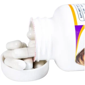 Nhà Thuốc Tiến Thành - BoniDiabet 3