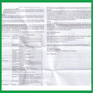 Nhà Thuốc Tiến Thành - Brufen 5