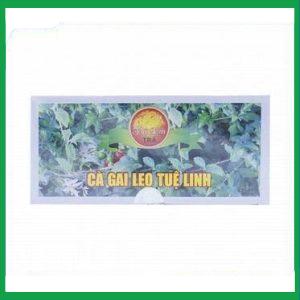 Nhà Thuốc Tiến Thành - Trà túi lọc Cà Gai Leo Tuệ Linh hỗ trợ người men gan cao, mẩn ngứa, mày đay (1.8g x 25 gói) 2 Nhà Thuốc Tiến Thành - Ca Gai Leo Tue Linh