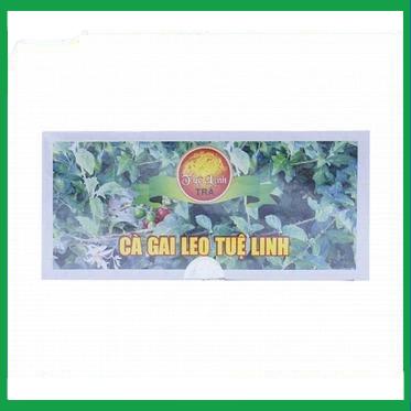 Ca-Gai-Leo-Tue-Linh.jpg Nhà Thuốc Tiến Thành - Ca Gai Leo Tue Linh