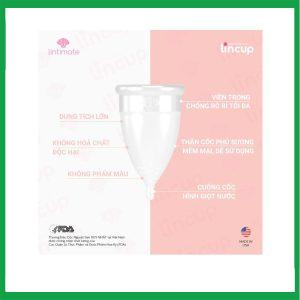Nhà Thuốc Tiến Thành - Cốc nguyệt san Lincup Mỹ sử dụng thay thế cho băng vệ sinh hoặc tampon trong những ngày dâu (Hộp 1 cái) 2 Nhà Thuốc Tiến Thành - Coc nguyet san Lincup 2