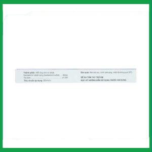 Nhà Thuốc Tiến Thành - Dung dịch tiêm Gentamicin 80mg HDPharma điều trị nhiễm khuẩn nặng (10 ống x 2ml) 3 Nhà Thuốc Tiến Thành - Gentamicin 1 1