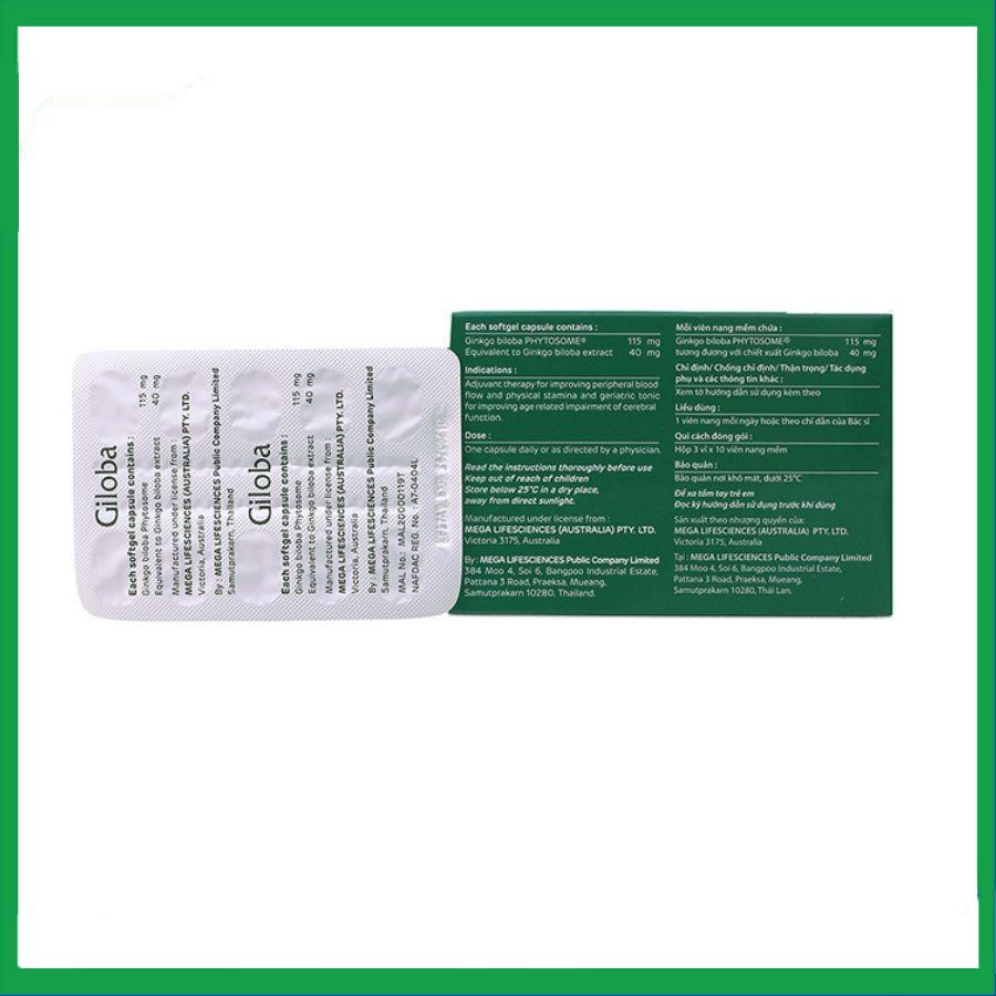 Giloba-1.jpg Nhà Thuốc Tiến Thành - Giloba 1