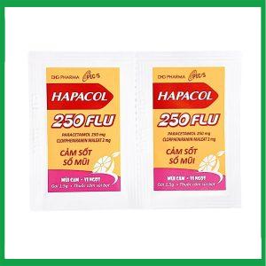 Nhà Thuốc Tiến Thành - Cốm Hapacol 250 Flu hộp 24 gói - Dược Hậu Giang 1 Nhà Thuốc Tiến Thành - Hapacol 250 Flu 1