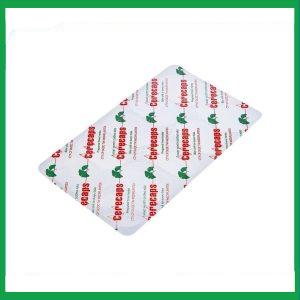 Nhà Thuốc Tiến Thành - Hoạt huyết dưỡng não Cerecaps Mediplantex điều trị suy giảm trí nhớ, đau đầu (3 vỉ x 10 viên) 1 Nhà Thuốc Tiến Thành - Hoat huyet duong nao Cerecaps2