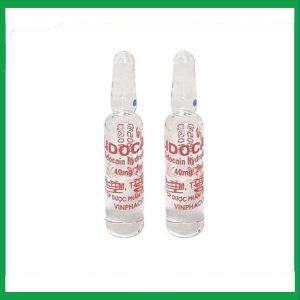 Nhà Thuốc Tiến Thành - Dung dịch tiêm Lidocain 40mg/2ml Vinphaco gây tê tại chỗ niêm mạc trước (100 ống x 2ml) 1 Nhà Thuốc Tiến Thành - Lidocain tiem 40mg 2ml 2