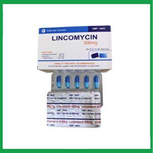 Nhà Thuốc Tiến Thành - Lincomycin 500mg Armephaco 1