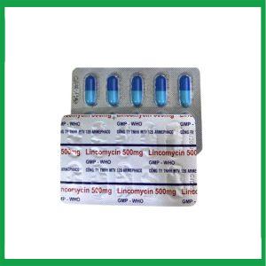Nhà Thuốc Tiến Thành - Thuốc kháng sinh LINCOMYCIN 500mg (Armephaco) điều trị nhiễm khuẩn hộp 10 vỉ x 10 viên 1 Nhà Thuốc Tiến Thành - Lincomycin 500mg Armephaco 2