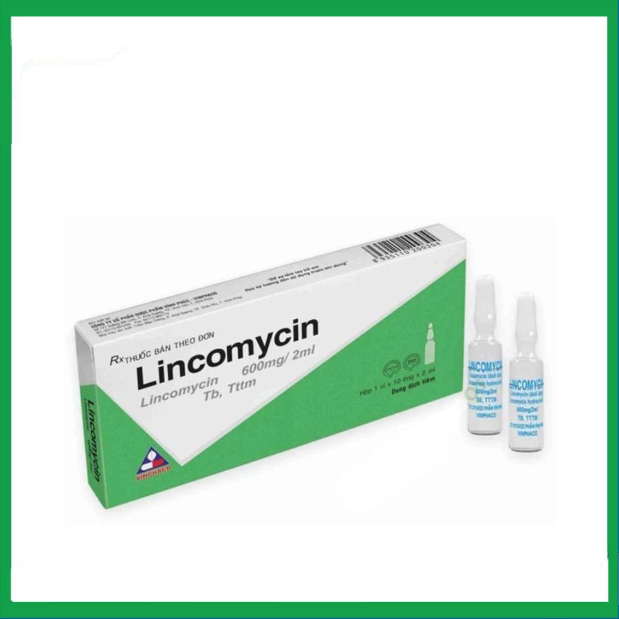 Lincomycin.jpg Nhà Thuốc Tiến Thành - Lincomycin