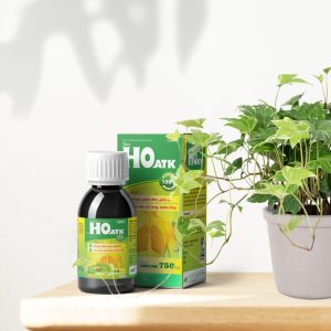 Nhà Thuốc Tiến Thành - Siro Ho ATK - hỗ trợ giảm đau rát họng, hỗ trợ bổ phế, giảm đờm, giảm ho 4 Nhà Thuốc Tiến Thành - Mockup HO copy