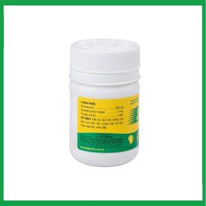 Nhà Thuốc Tiến Thành - Thuốc Slocol DHG trị cảm cúm, sổ mũi ( Hộp 100 viên ) 2 Nhà Thuốc Tiến Thành - Slocol 1