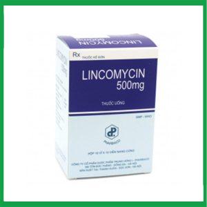 Nhà Thuốc Tiến Thành - Thuốc kháng sinh Lincomycin 500mg Pharbaco điều trị nhiễm khuẩn ( Hộp 10 vỉ x 10 viên) 1 Nhà Thuốc Tiến Thành - Smart pharma 2024 12 29T161702.096