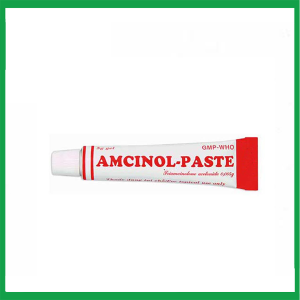 Nhà Thuốc Tiến Thành - Gel Amcinol - Paste trị viêm miệng, lợi và môi ( Hộp 1 tuýp 5g) 1 Nhà Thuốc Tiến Thành - Smart pharma 2025 01 01T153429.343