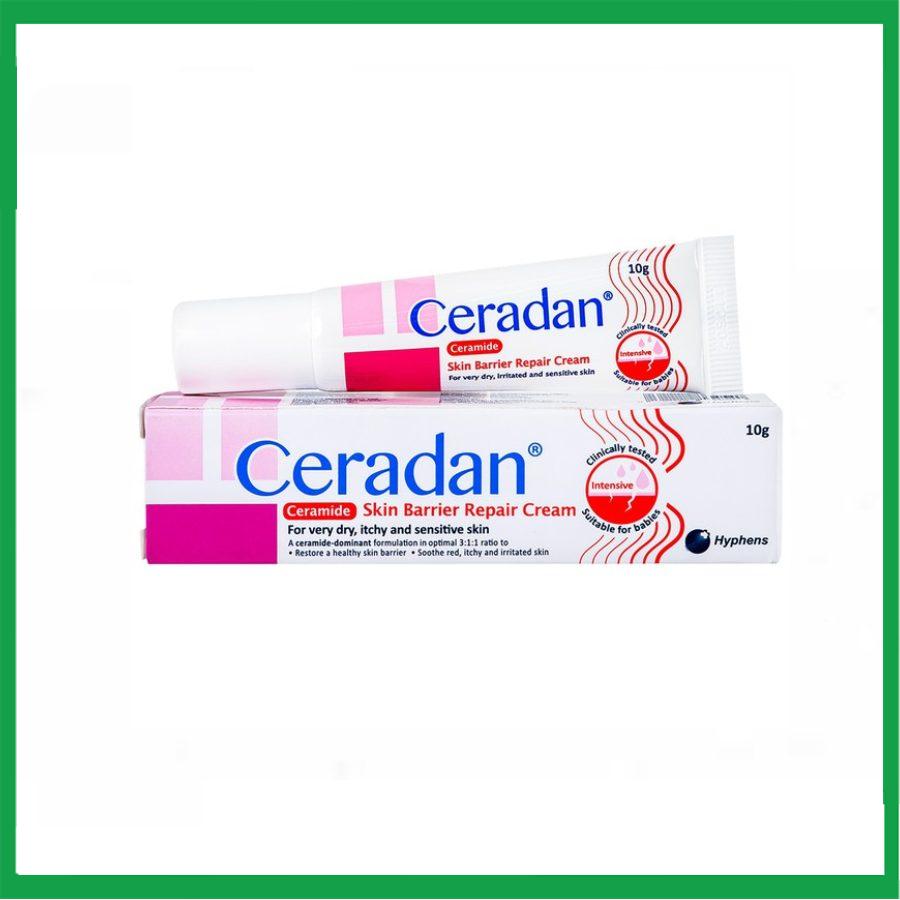 Smart-pharma-2025-01-10T123138.298.jpg Nhà Thuốc Tiến Thành - Smart pharma 2025 01 10T123138.298