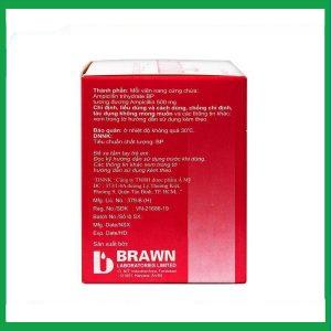 Nhà Thuốc Tiến Thành - Thuốc Ampicillin Capsules BP 500mg Brawn điều trị nhiễm khuẩn (10 vỉ x 10 viên) 1 Nhà Thuốc Tiến Thành - Smart pharma 58 1