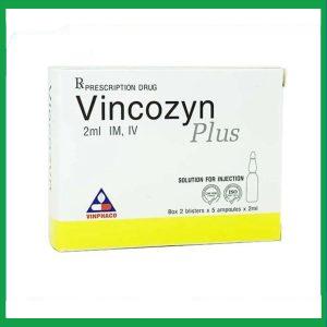 Dung dịch Vincozyn Plus Vinphaco phòng ngừa và điều trị các bệnh thiếu Vitamin B (2 vỉ x 5 ống x 2ml)