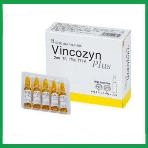 Nhà Thuốc Tiến Thành - Dung dịch Vincozyn Plus Vinphaco phòng ngừa và điều trị các bệnh thiếu Vitamin B (2 vỉ x 5 ống x 2ml) 1 Nhà Thuốc Tiến Thành - Thiet ke chua co ten 29
