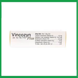 Nhà Thuốc Tiến Thành - Dung dịch Vincozyn Plus Vinphaco phòng ngừa và điều trị các bệnh thiếu Vitamin B (Hộp 1 vỉ x 10 ống x 2ml ) 1 Nhà Thuốc Tiến Thành - Vincozyn plus 1vi x10 ong 2