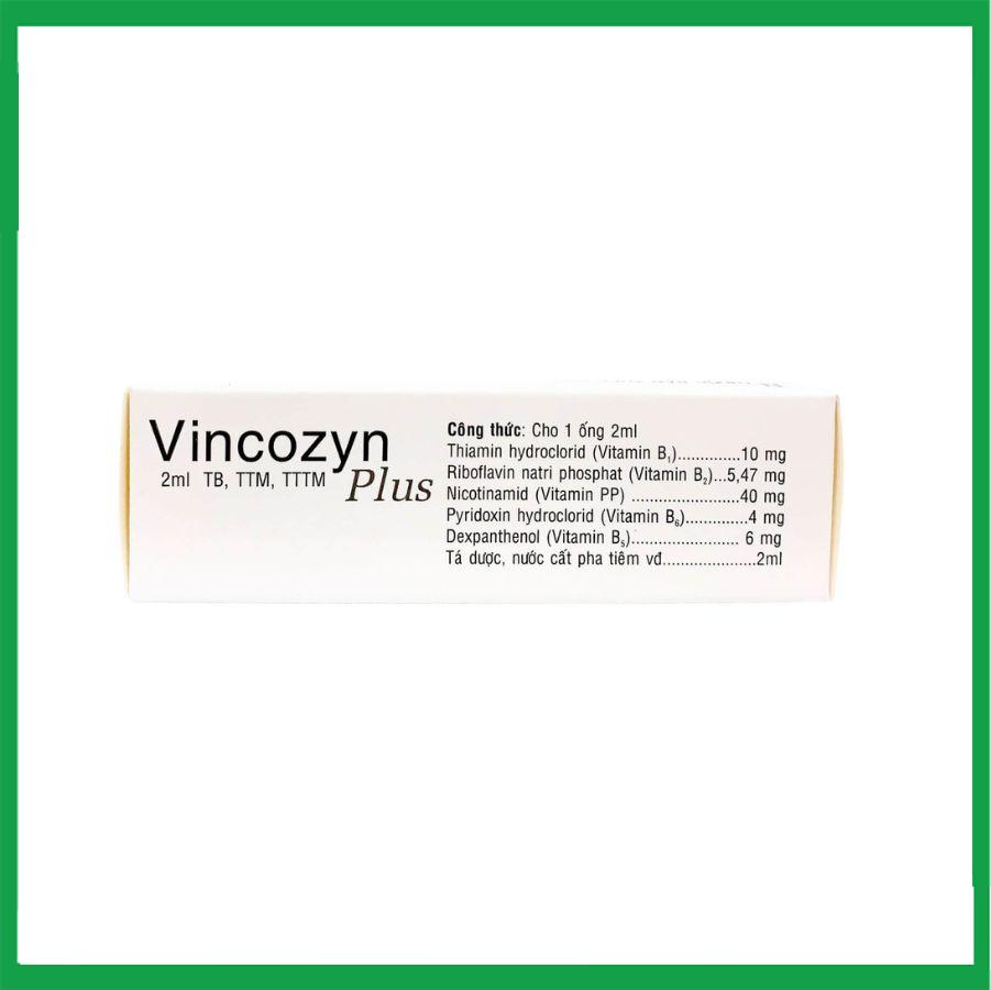 Vincozyn-plus-1vi-x10-ong-2.jpg Nhà Thuốc Tiến Thành - Vincozyn plus 1vi x10 ong 2