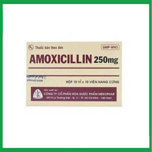 Amoxicilin 250mg Mekophar  (10 vỉ x 10 viên)