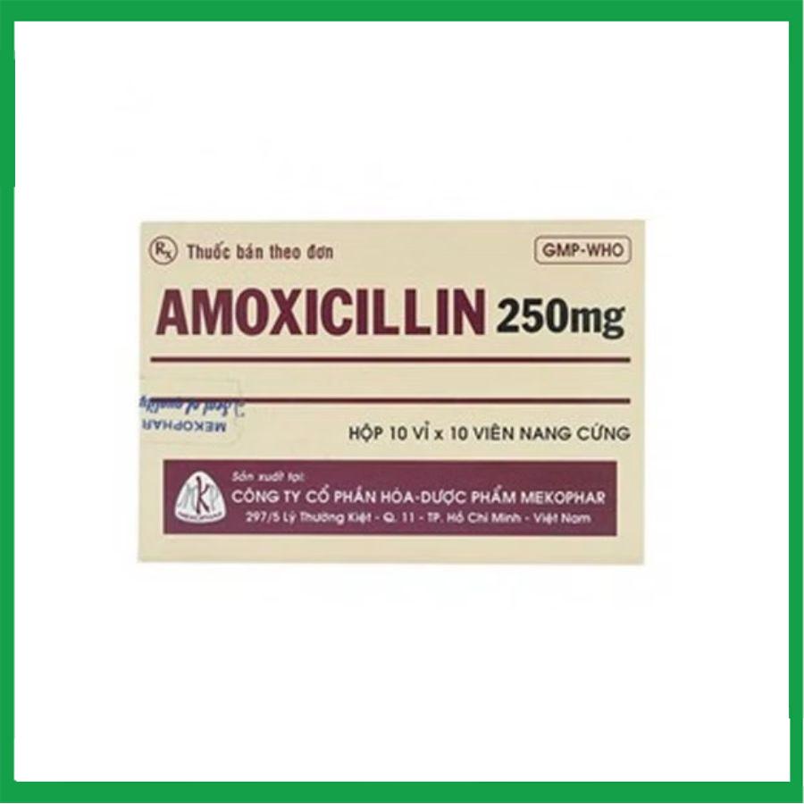 amoxicillin-1.jpg Nhà Thuốc Tiến Thành - amoxicillin 1