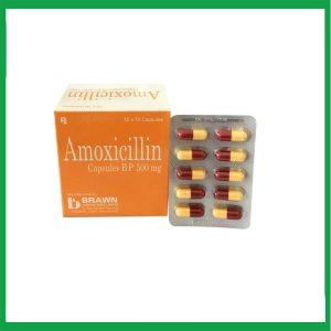 Thuốc Amoxicillin Capsules BP 500mg Brawn  (10 vỉ x 10 viên)