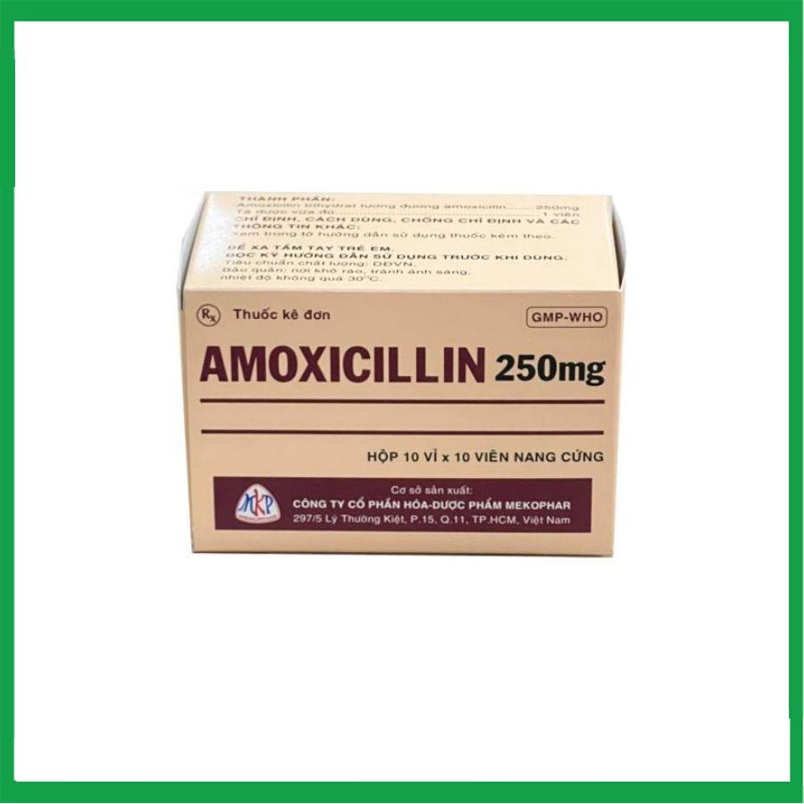 amoxicillin.-2-1.jpg Nhà Thuốc Tiến Thành - amoxicillin. 2 1