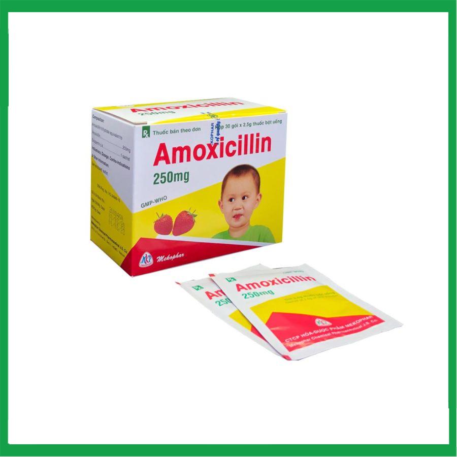 amoxicillin.-2.jpg Nhà Thuốc Tiến Thành - amoxicillin. 2