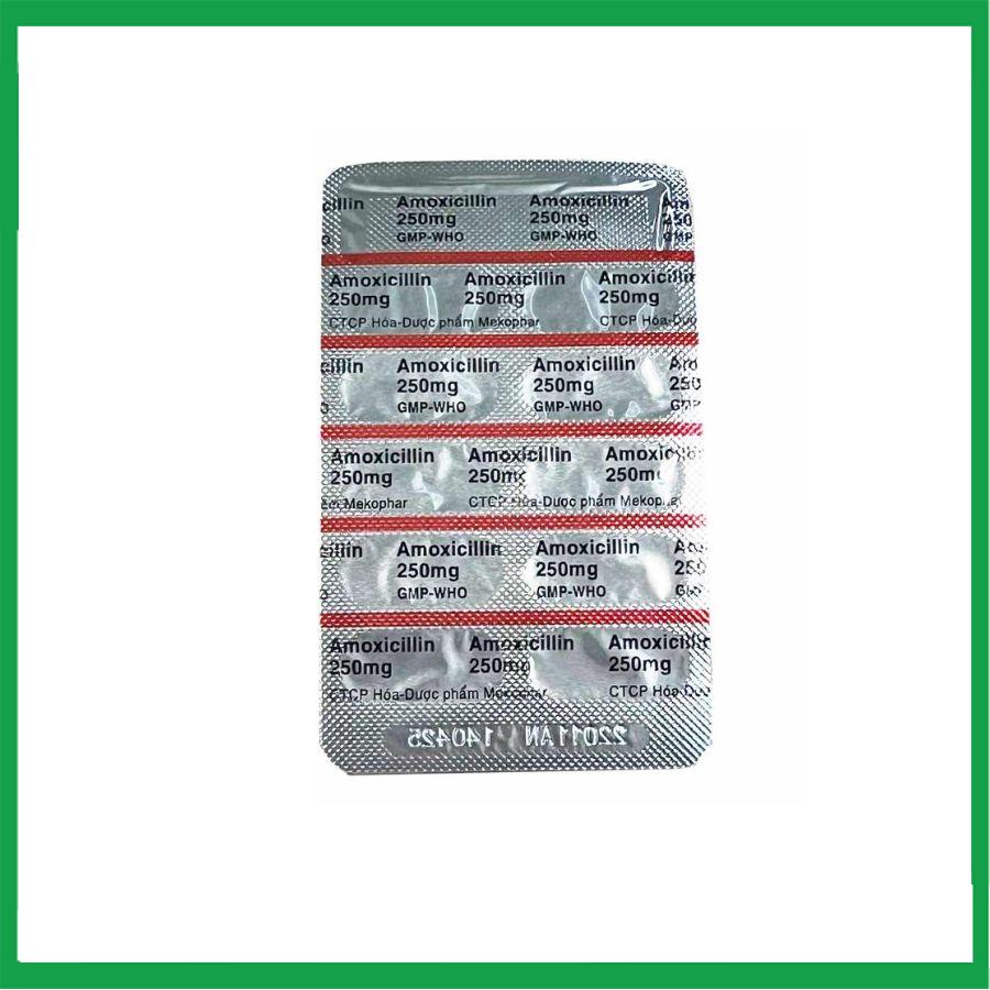 amoxicillin.1-1.jpg Nhà Thuốc Tiến Thành - amoxicillin.1 1