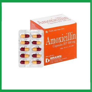 Nhà Thuốc Tiến Thành - Thuốc Amoxicillin Capsules BP 500mg Brawn (10 vỉ x 10 viên) 1 Nhà Thuốc Tiến Thành - amoxicillin.1 2