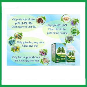 Nhà Thuốc Tiến Thành - Viên uống BoniDetox Botania chống oxy hóa, hỗ trợ bảo vệ phổi (Hộp 30 viên) 2 Nhà Thuốc Tiến Thành - bonidetox 2
