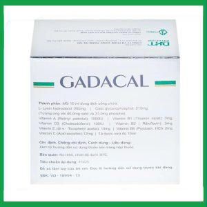 Nhà Thuốc Tiến Thành - Dung dịch uống Gadacal Hà Tây bổ sung Calci, Lysin và các Vitamin (20 ống x 10ml) 1 Nhà Thuốc Tiến Thành - fb 2 64