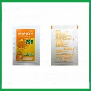 Nhà Thuốc Tiến Thành - hapacol 250mg 4