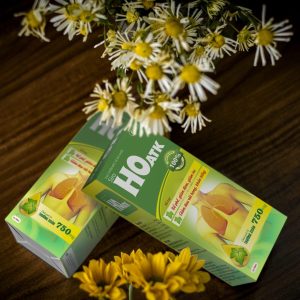 Nhà Thuốc Tiến Thành - sam cau scaled copy