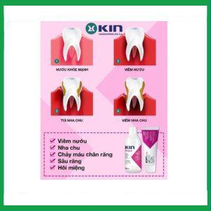 Nhà Thuốc Tiến Thành - Dung dịch súc miệng Kin Gingival ngăn ngừa mảng bám, viêm nướu, sâu răng (250ml) 1 Nhà Thuốc Tiến Thành - sm KIn 1